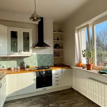 Will - In The Heart Of Varşova