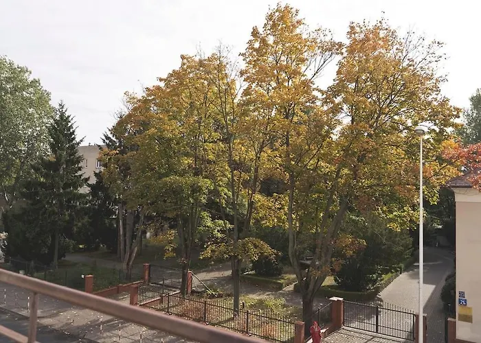 Apartment Will - In The Heart Of *